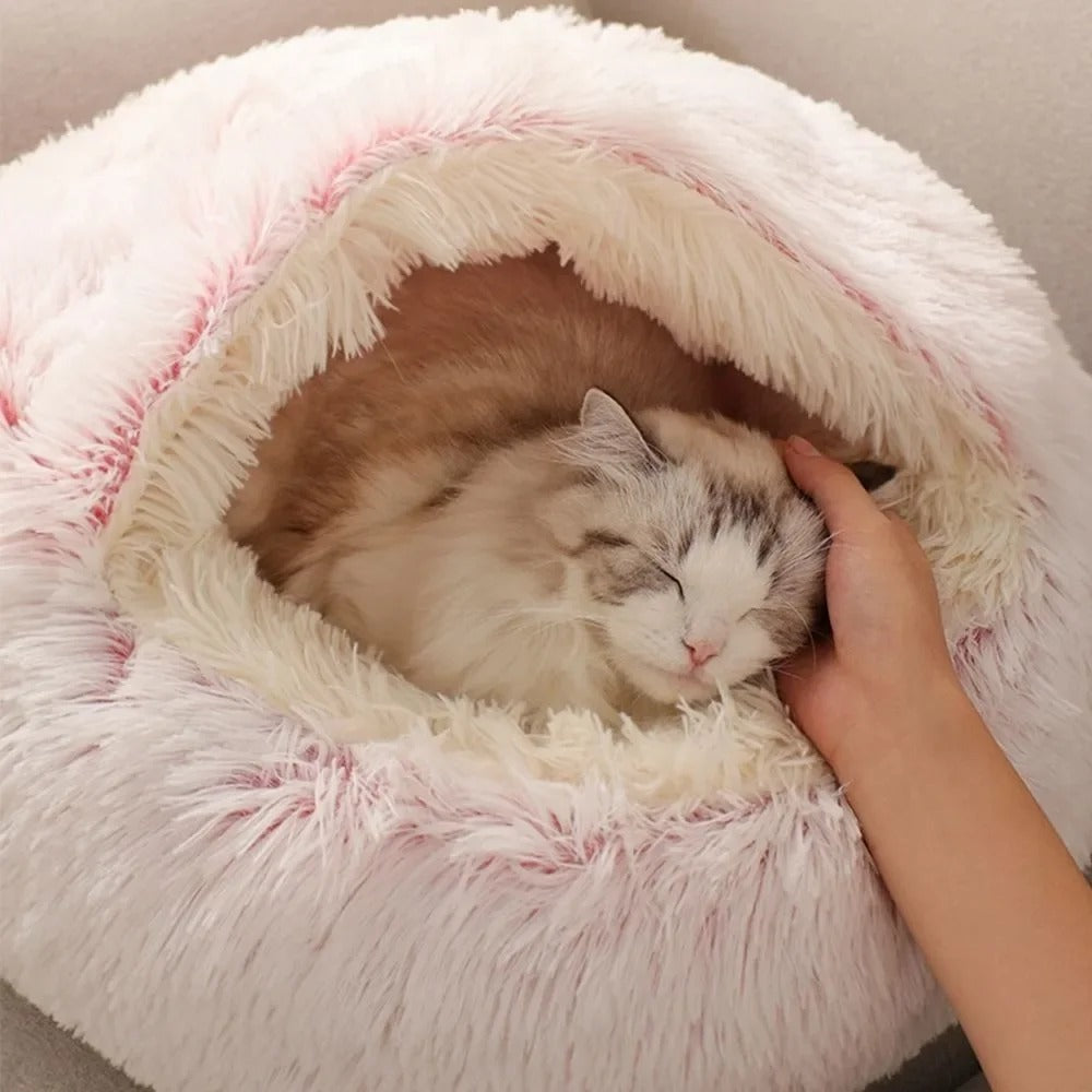 Petzzy-nest