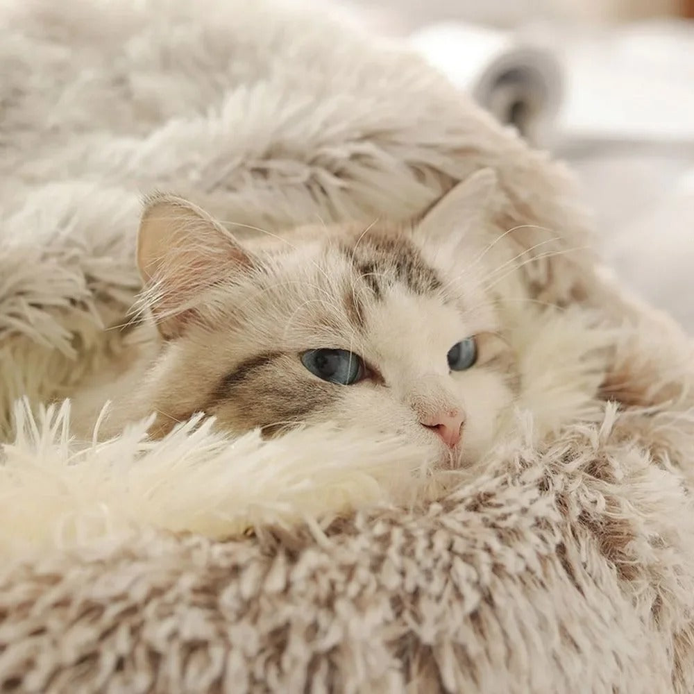 Petzzy-nest