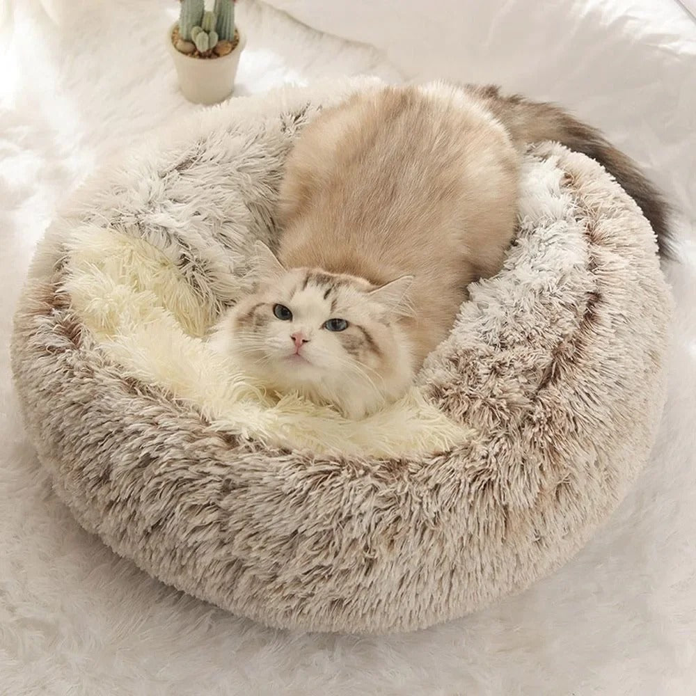 Petzzy-nest