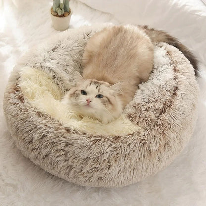 Petzzy-nest